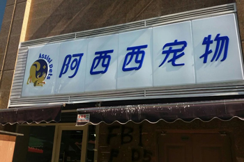 &#20048;&#25237;&#32593;&#39029;&#29256;&#45;&#20048;&#25237;&#65288;&#20013;&#22269;&#65289;